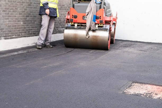 Best Driveway Border and Edging  in Rosenhayn, NJ